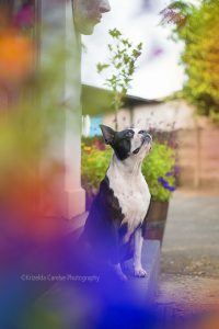 ©Krizelda Carelse Photographydog30
